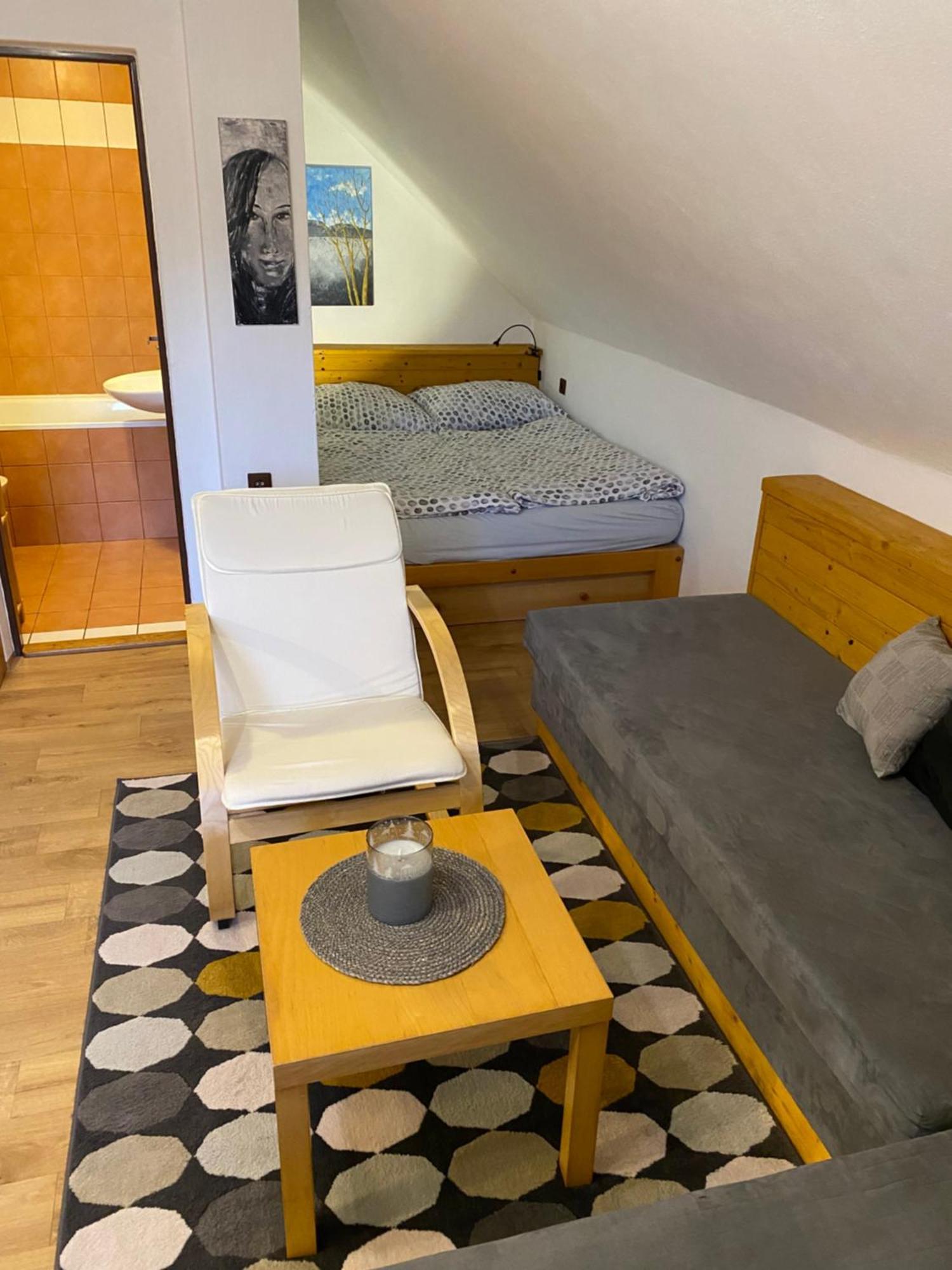 Apartman Ivko Letohrad 外观 照片